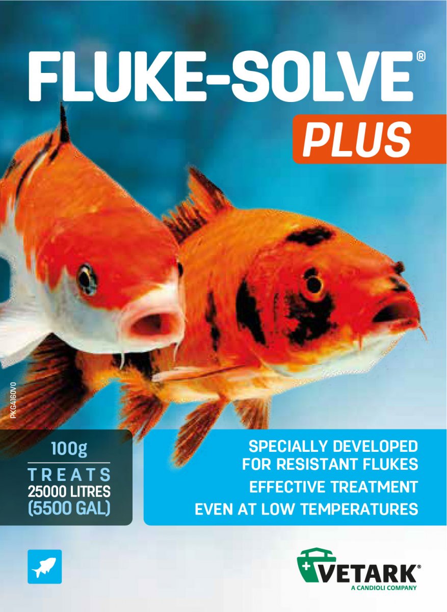 Fluke Solve Plus - Anti-Fluke, 100g