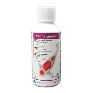 NT Permanganate Dip, 250ml