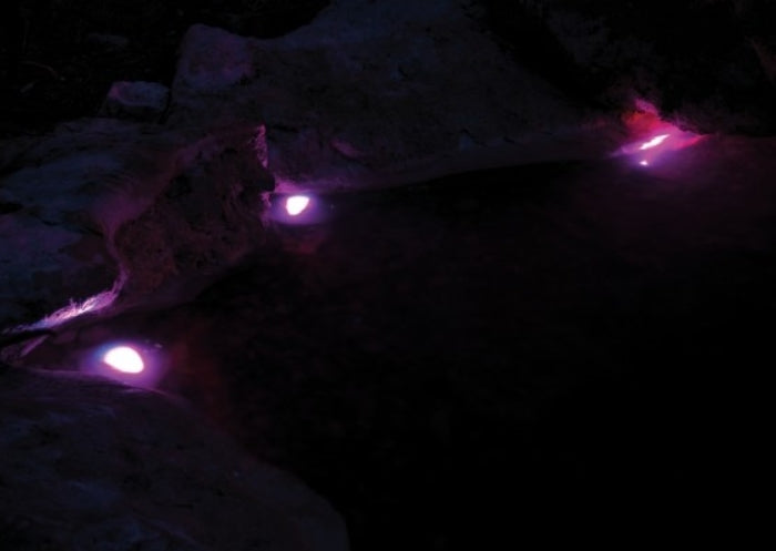 Pondostar LED RGBW 3 light set