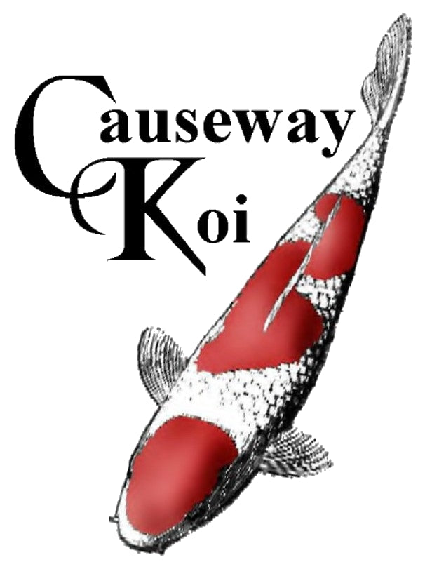Causeway Koi
