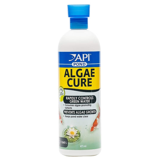 API Algae Cure, 473ml